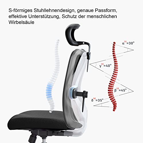 Ergonomischer Bürostuhl SIHOO Bürostuhl ergonomisch