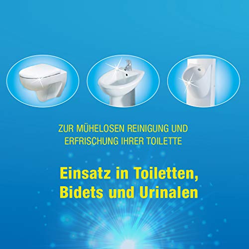 Urinsteinentferner Sauber Meister WC Reiniger Schaum, Kraftvoller