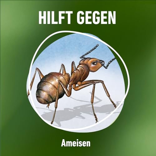 Ameisengift Compo Ameisen-frei – ideal gegen Ameisen