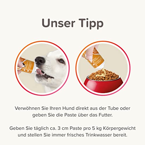 Hunde-Vitamine beaphar Multi-Vitamin-Paste für Hunde, 100g