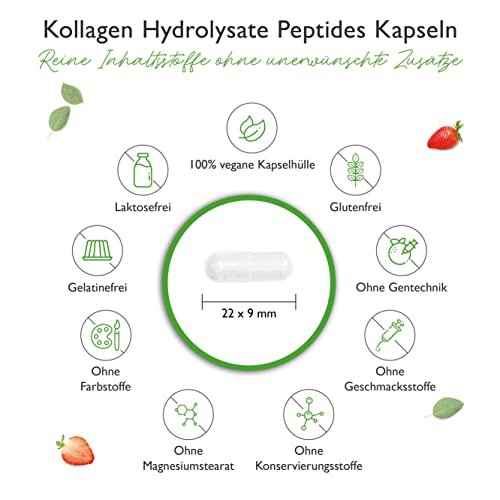 Kollagen-Kapseln Vit4ever Kollagen – 240 Kapseln – 1500 mg pro