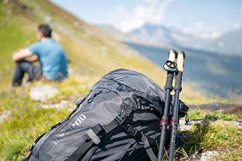 Trekkingstöcke faltbar Steinwood Premium Carbon Wanderstöcke