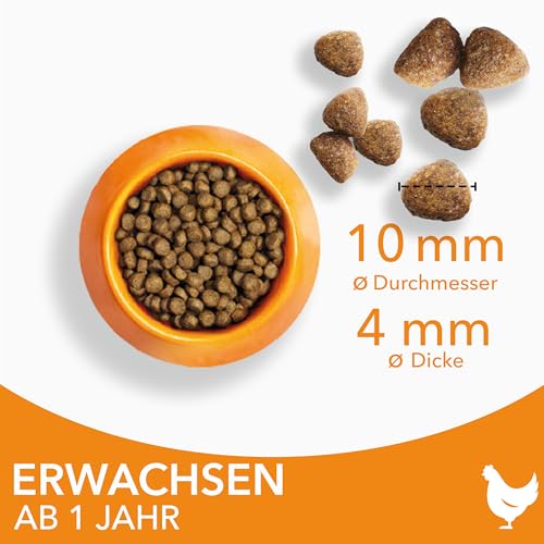 Katzen-Trockenfutter Iams Katzenfutter trocken mit Huhn