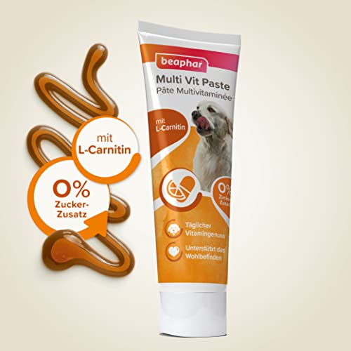 Hunde-Vitamine beaphar Multi-Vitamin-Paste für Hunde, 100g