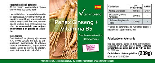 Ginseng-Kapseln Vitamintrend Panax Ginseng + Vitamin B5