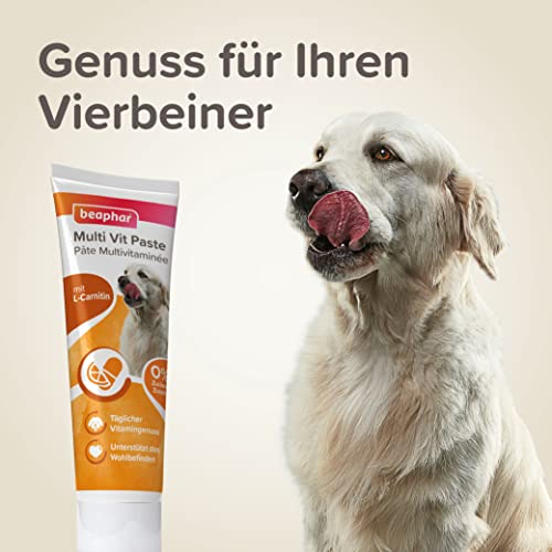 Hunde-Vitamine beaphar Multi-Vitamin-Paste für Hunde, 100g