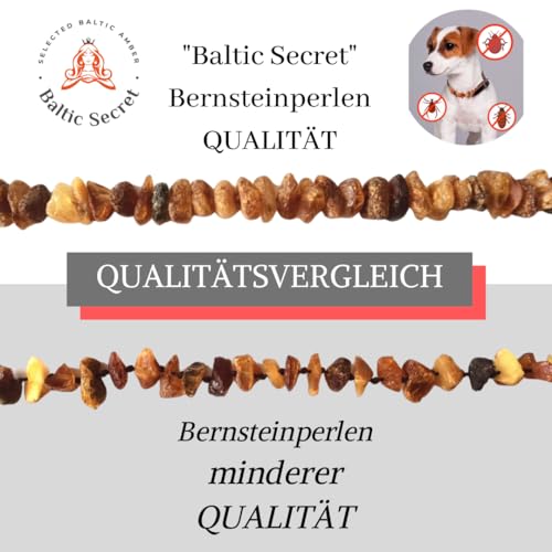 Bernstein-Halsband Hund Baltic Secret Bernsteinkette