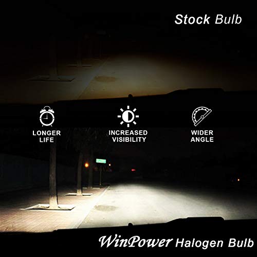 HB4-Lampe WinPower HB4 9006 55W Halogen Nebelscheinwerfer