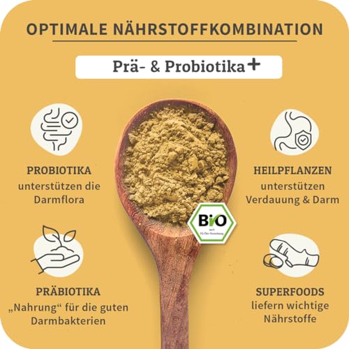 Probiotika Hund CURAPET Bio Darmpulver für Hunde