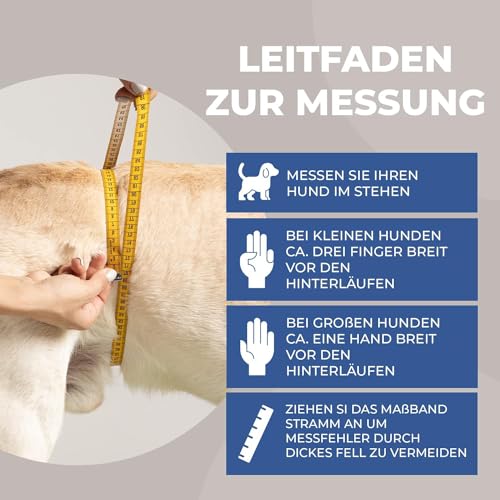 Läufigkeitshose-Hündin Nature Pet Hunde-Läufigkeitshose