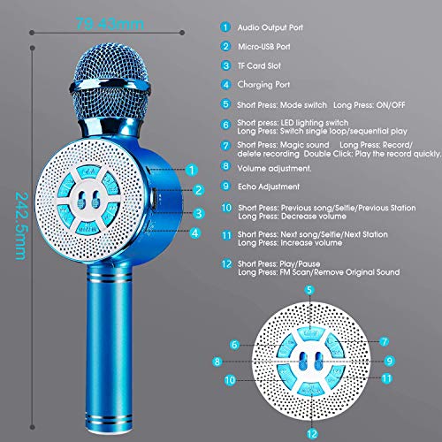 Karaoke-Mikrofon FISHOAKY Karaoke Mikrofon, 4 in 1 Bluetooth