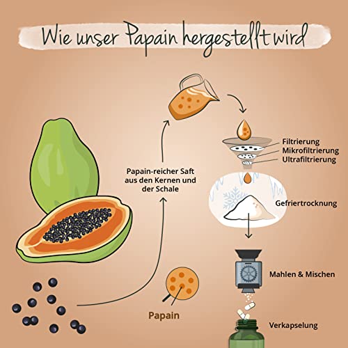 Papain Vegavero PAPAYA Enzym ® HOCHDOSIERT: 2.100 mg