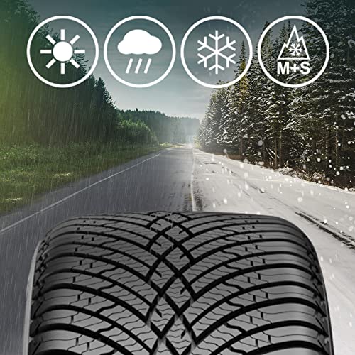 Ganzjahresreifen 195-65-R15 BERLIN TIRES 195/65 R15 91V