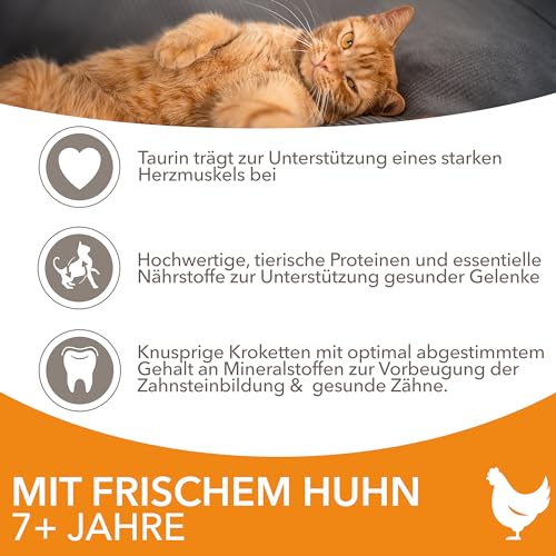 Katzenfutter Senior Iams Senior Katzenfutter trocken mit Huhn