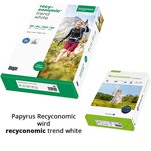 Druckerpapier 80g inapa Recycling-Papier, Recyconomic