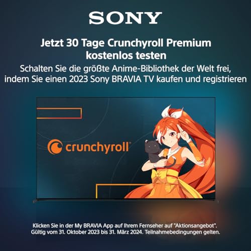 Großer Fernseher Sony BRAVIA, KD-65X80L, 65 Zoll Fernseher, LED