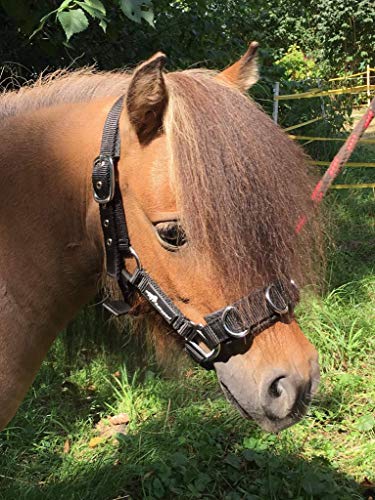 Kappzaum JF-Reitsport Unisex Erwachsene Nylonholder med blødt