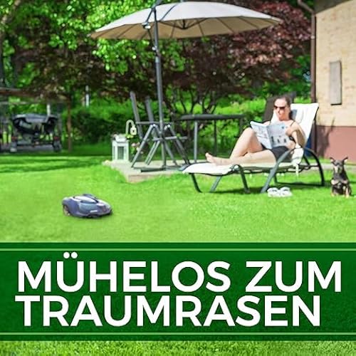 Rasensamen-schnellkeimend NATUREFLOW Rasensamen schnellkeimend 10kg