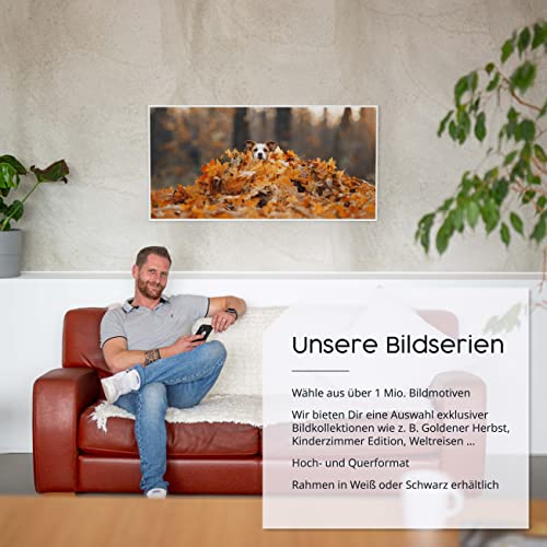 Infrarotheizung Könighaus mit Bild, 1200 Watt, Smart Thermostat