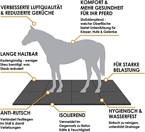 Stallmatten Pferde Floordirekt Stallmatte aus Gummi 120 x 80 cm
