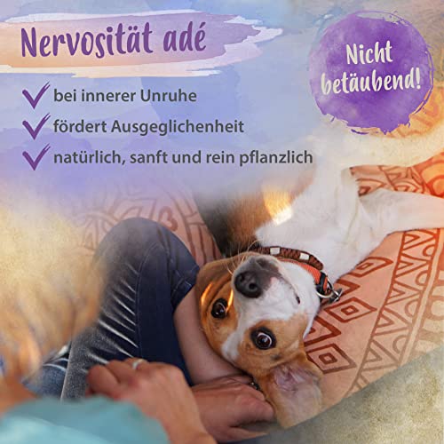 Beruhigungsmittel für Hunde Ida Plus Softie, natürlich