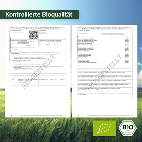 Ingwer-Kapseln Flügelschwinger 200 BIO Ingwer Kapseln 600 mg