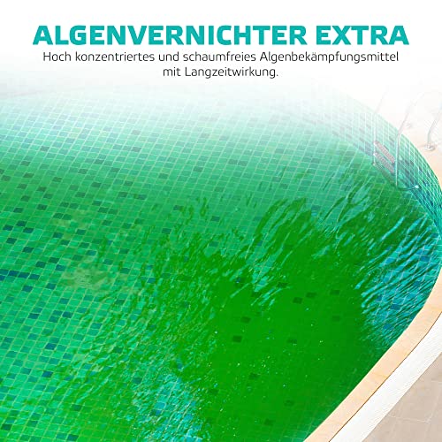 Algenvernichter Pool well2wellness Algenvernichter Extra 5 Liter