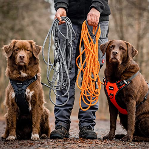 Schleppleine 10 m Floxik Schleppleine für Hunde | 5m, 10m, 15m, 20m