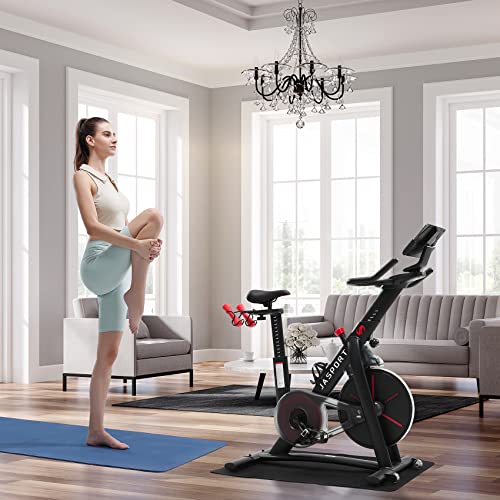 Indoor Bike JASPORT Smart Indoor Speedbike S3, leise Heimtrainer