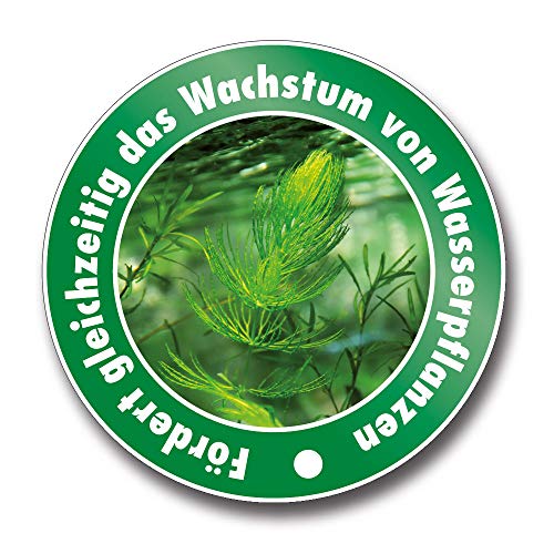 Mittel gegen Fadenalgen AQUALITY Aquaristik & Gartenteich