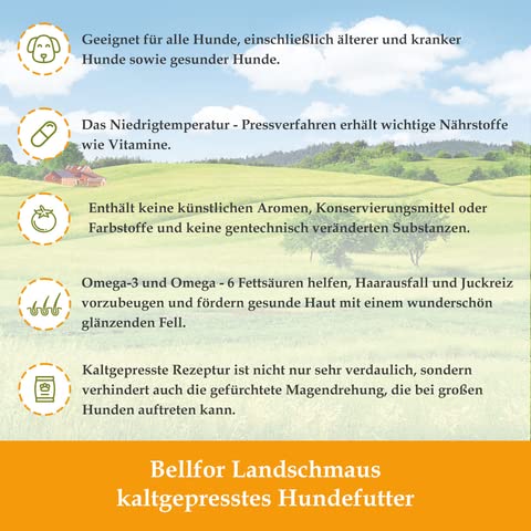 Bellfor-Hundefutter Bellfor Forstbach-Schmaus Kaltgepresst