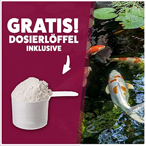 Mittel gegen Fadenalgen AQUASAN Aquaristik & Gartenteich