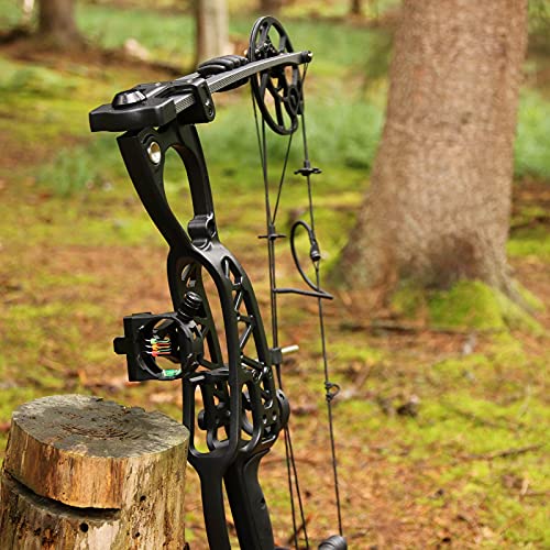 Compoundbogen Drake Archery Komplett-Set Drake Pathfinder