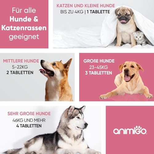 Hunde-Vitamine animigo Multivitamine für Hunde & Katzen