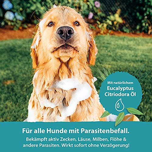 Flohshampoo-Hund PetsHero ® Hundeshampoo gegen Milben