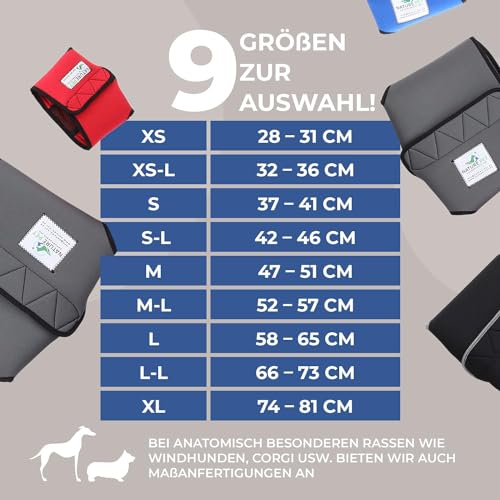 Läufigkeitshose-Hündin Nature Pet Hunde-Läufigkeitshose