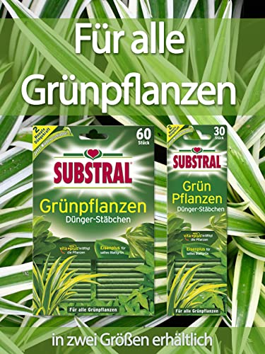 Düngestäbchen Substral Dünger-Stäbchen für Grünpflanzen