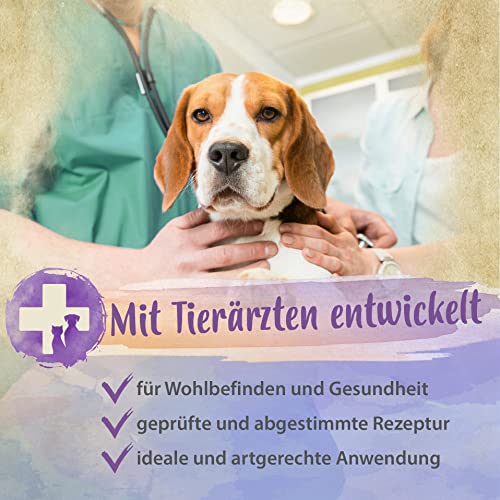 Beruhigungsmittel für Hunde Ida Plus Softie, natürlich