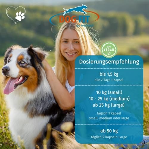 Hunde-Vitamine DOG FIT by PreThis ® Vitamin B Komplex