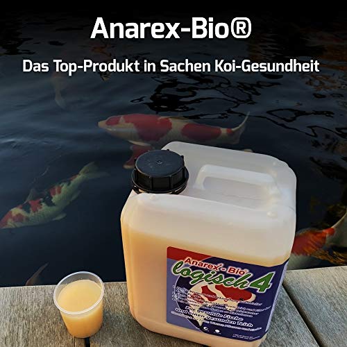 Teichbakterien Anarex-Bio ® 5 l, Biologische Milchsäurebakterien