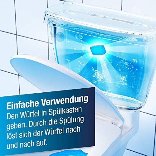 Spülkasten-Entkalker Everfix Wasserkastenwürfel (10 Stück) WC Tabs