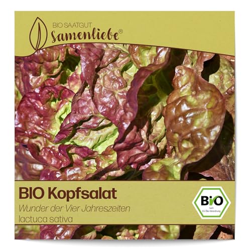 Kopfsalat-Samen Samenliebe BIO Kopfsalat Samen alte Sorte