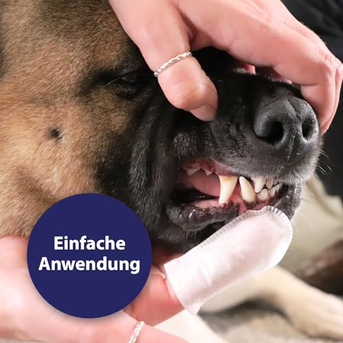 Zahnpflege Hund Canosept Zahnpflege Finger-Pads für Hunde