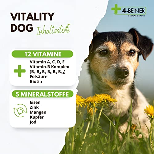 Hunde-Vitamine 4-BEINER ANIMAL HEALTH 4-BEINER Vitality-Dog