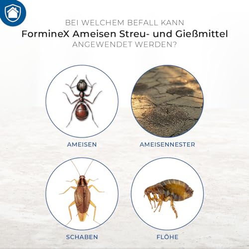 Ameisengift PROTECT HOME Forminex Ameisen Streu- und Gießmittel