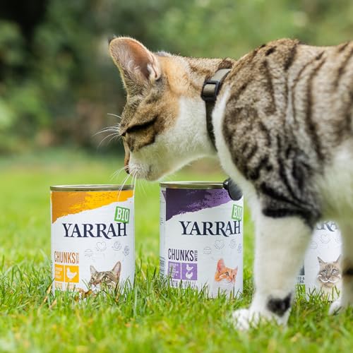Bio-Katzenfutter Yarrah Bio Katzenfutter Pate mit Huhn 400 g, 12er