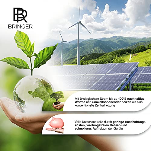 Bringer-Infrarotheizung BR Bringer Bild Infrarotheizung rahmenlos