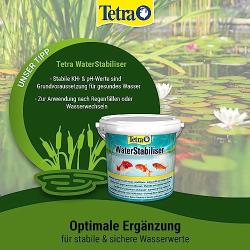 Fadenalgenvernichter Tetra Pond AlgoFin Teich Algenvernichter