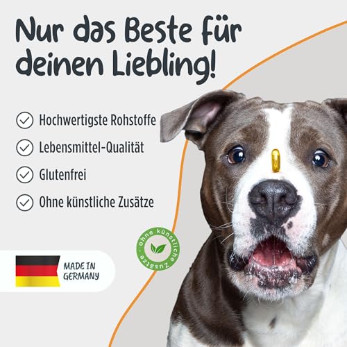 Hunde-Ergänzungsfutter Pets PROTECT Omega-3 Kapseln