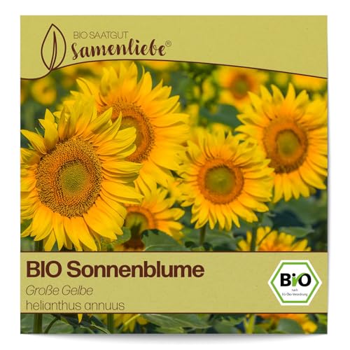 Sonnenblumen-Samen Samenliebe BIO Sonnenblume Samen